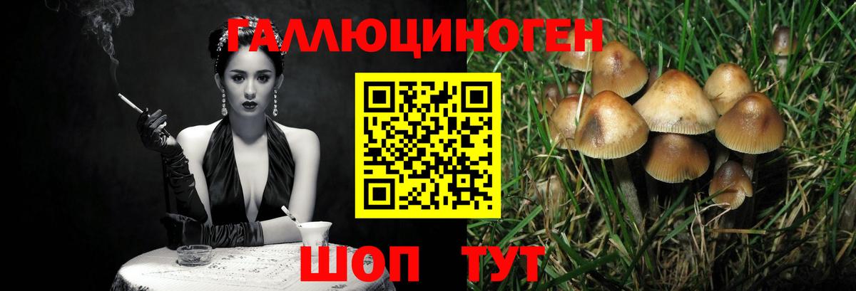 Псилоцибиновые грибы Psilocybine cubensis  Вход с VPN  наркошоп  Зеленодольск 