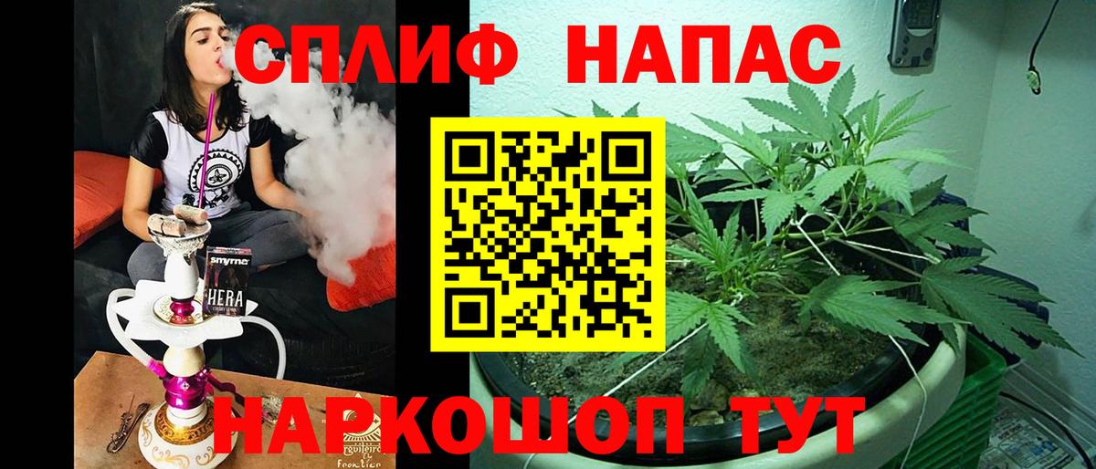 Канабис сатива Зеленодольск